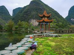 -靖西鹅泉风景区