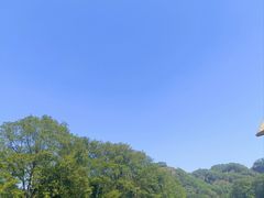 -九曲溪竹筏码头