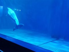 -多彩贵州城极地海洋世界