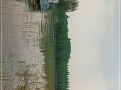 -白鹭湾湿地公园