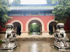 -灵谷景区
