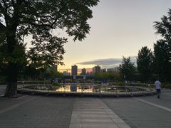 -莲花池公园
