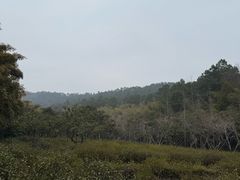 -九龙潭景区