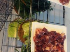 -蘑统田下·野生菌火锅