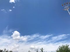 -丁香湖公园