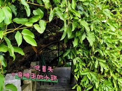 -广州市白云山风景名胜区