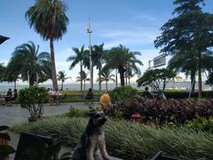-星巴克(珠海仁恒滨海中心店)