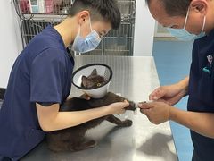 -良伴无忧宠物医院(泰欣嘉园店)