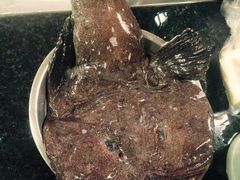 -阿杰臻选海鲜饭店(普陀山店)