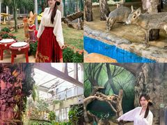 -正佳雨林生态植物园