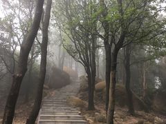 -火炉山森林公园