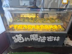-猫的魔法密林(衣裳街店)