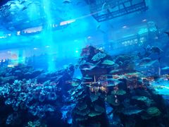 -迪拜水族馆及水下动物园