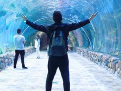 -华夏文旅海洋公园