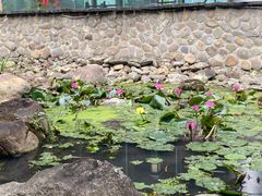 -明月山天沐温泉度假村