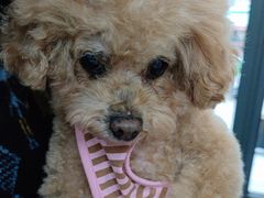 -爱侣宠医·鹦鹉专科·小型哺乳类·异宠专科(灵石路店)