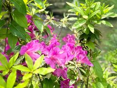 -黄陂区野村谷景区