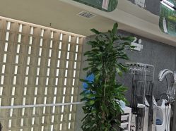 -木北造型