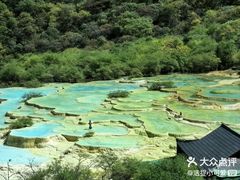 -九里香(三世传承店)