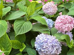 -常州古运河南大街文化旅游区-人民公园