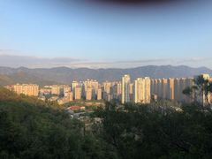 -金鸡山公园