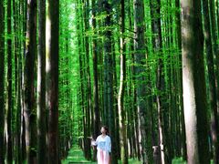 -山王坪喀斯特国家生态公园