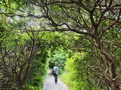 -水濂山森林公园