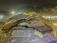 -大梅沙海滨公园