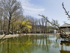 -穆湖渔村饭庄·住宿·钓鱼