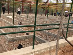 -洛阳马蹄泉旅游度假村