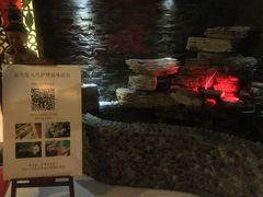 -域SPA·足疗·按摩·养生(静安寺店)