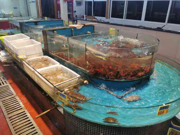 白沙码头海鲜广场·象山海鲜-"同事带的去吃的海鲜,说比较新鲜,就在