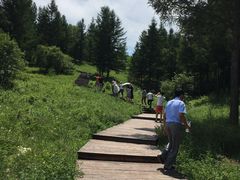 -塞罕坝国家级自然保护区