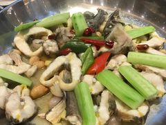 -新兴·金羊座·粤菜点心(乐峰店)
