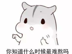 -玫瑰红烤羊排(北新桥三条店)