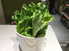 -古乐牛香·鲜牛肉牛杂火锅(新区店)