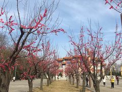 -终南山古楼观历史文化景区