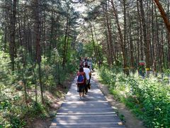 -帽儿山国家森林公园