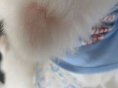 -怪兽屋·羊驼·猫咖·狗咖(俊华广场店)