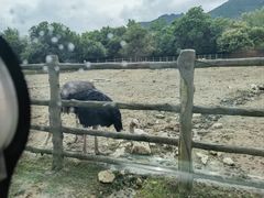 -西安秦岭野生动物园