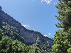 -重庆睡佛山森林公园