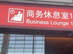 -郑州新郑国际机场-T2航站楼