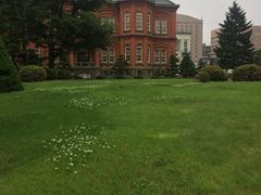 -北海道厅旧本厅舍(旧本庁舎)