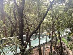 -杭州灵山景区