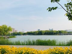 -昆山城市生态森林公园