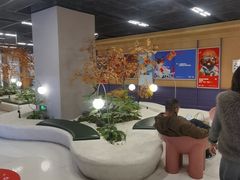 -帕帕拉兹宠物(亚洲旗舰店)