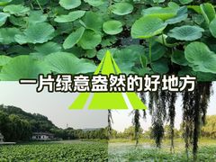 -北山公园