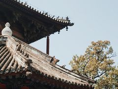 -独乐寺