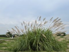 -良渚古城遗址公园
