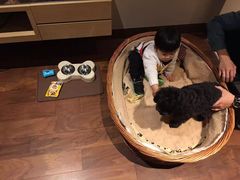 -上海崇明金茂凯悦酒店